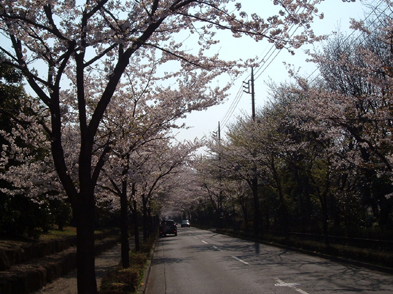 2009春