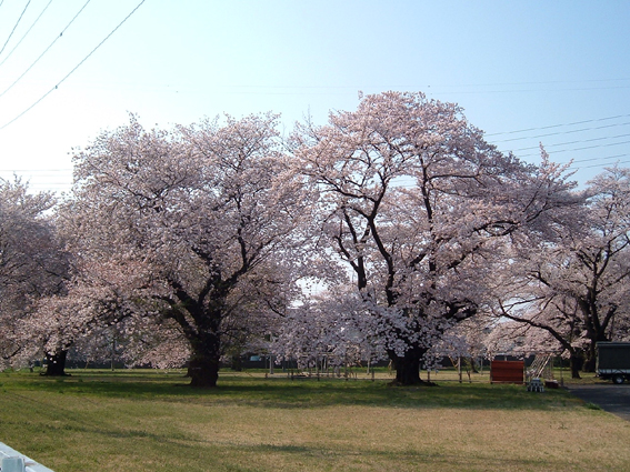 2009春